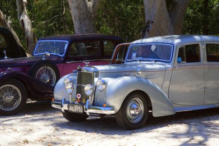 20161101_Gallery_307_Alvis Day 16-4.JPG